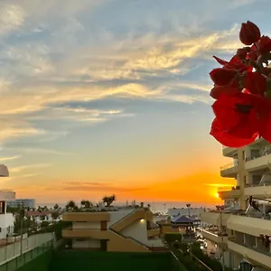 apartment-ocean-park-in-costa-adeje-tenerife.in-canary-islands.com/